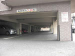 P1.JPG