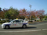 PB130031.JPG