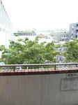 81314d49.jpeg