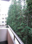 333ec124.jpeg