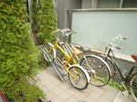 05.JPG