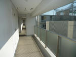 P1250200.JPG