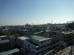 P1250272.JPG