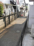 116133b9.jpeg