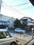 P1000412_500.jpg