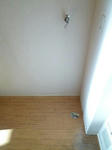 P1000424_500.jpg