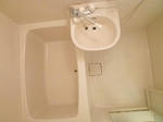 P1000429_500.jpg