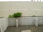 P1140850.JPG