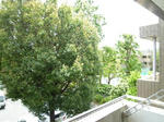 P1200258_500.jpg