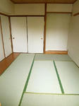 P1200262_500.jpg