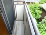P1200288_500.jpg