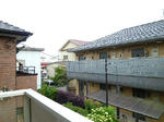 P1240054_500.jpg