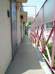 P1270461_500.jpg