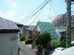 P1270510_500.jpg