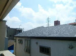 P1270512_500.jpg