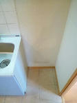P1270522_500.jpg