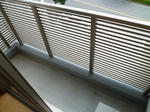 P1280246.JPG
