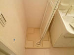 P1470044_500.jpg
