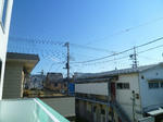 P1520197.JPG