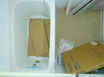 P1550019.JPG
