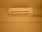 P1550043.JPG