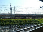 P1440040.JPG