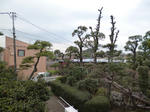 P1000030.JPG