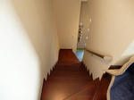 P1000750.JPG