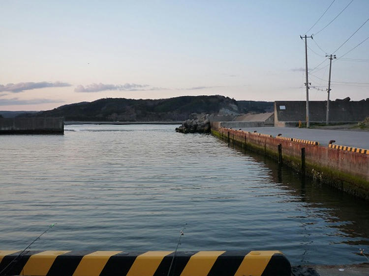 P1020345.JPG