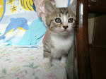 4nyan110204.jpg