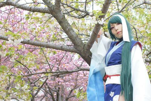 キキョウ・コノエ