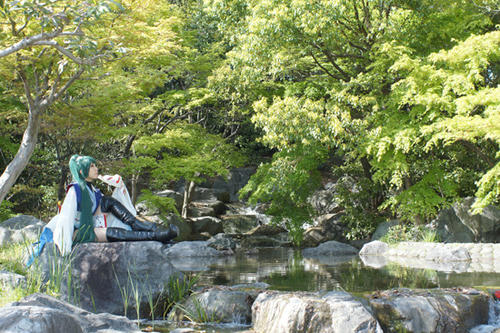 キキョウ・コノエ