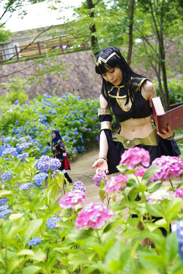 あじさいの小路にて