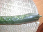 5e8709b1.jpg