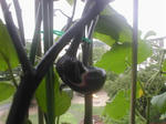 ff8804c7.jpg