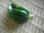 741c455a.jpg