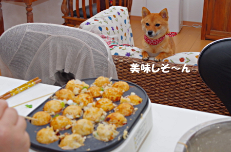 ぽんちゃんとたこ焼き