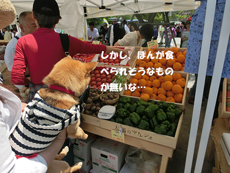 http://blog.cnobi.jp/v1/blog/user/5372066eaa7f42ee290a4176dda1b356/1399798415