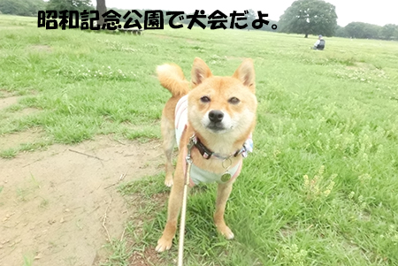 http://blog.cnobi.jp/v1/blog/user/5372066eaa7f42ee290a4176dda1b356/1404390527