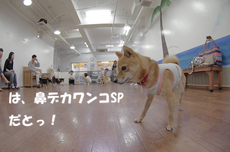 http://blog.cnobi.jp/v1/blog/user/5372066eaa7f42ee290a4176dda1b356/1405238091