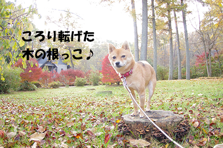 http://blog.cnobi.jp/v1/blog/user/5372066eaa7f42ee290a4176dda1b356/1414917051