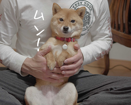 http://blog.cnobi.jp/v1/blog/user/5372066eaa7f42ee290a4176dda1b356/1420803139