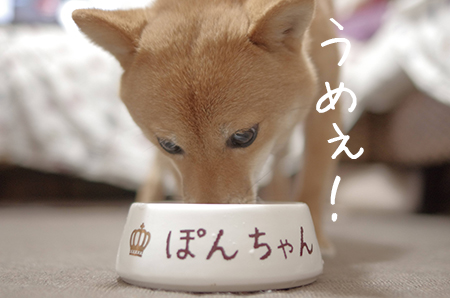 http://blog.cnobi.jp/v1/blog/user/5372066eaa7f42ee290a4176dda1b356/1420803173