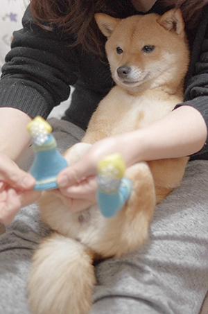 http://blog.cnobi.jp/v1/blog/user/5372066eaa7f42ee290a4176dda1b356/1425473777