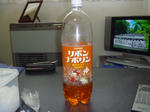 P1020037.jpg