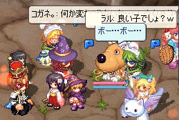 20071026-02.gif