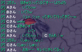 20071029-01.gif