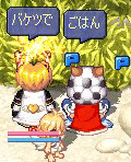 20071108-06.gif
