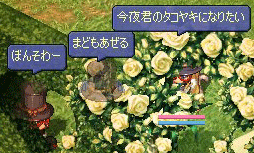 20071117-14.gif