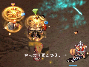 20080523-01.gif